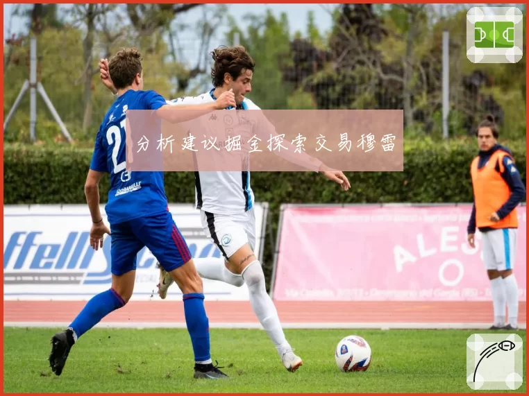 分析建议掘金探索交易穆雷